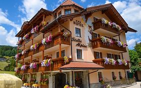 Hotel Stella Alpina